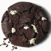 Double Chocolate Cookie